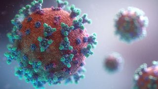 Effect of steaming on COVID-19